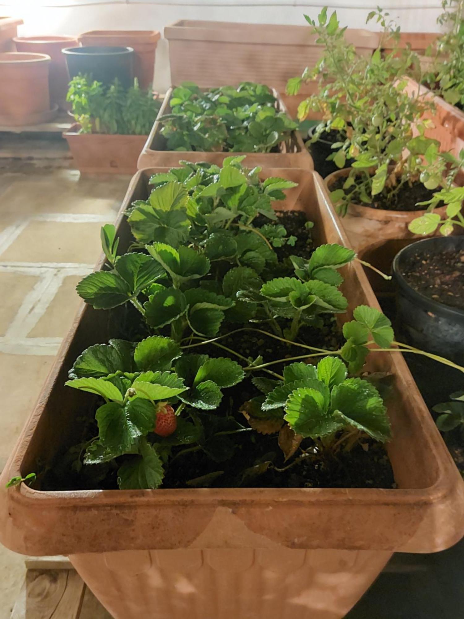 폴리나노 아마레 Mandorleolio B&B 외부 사진